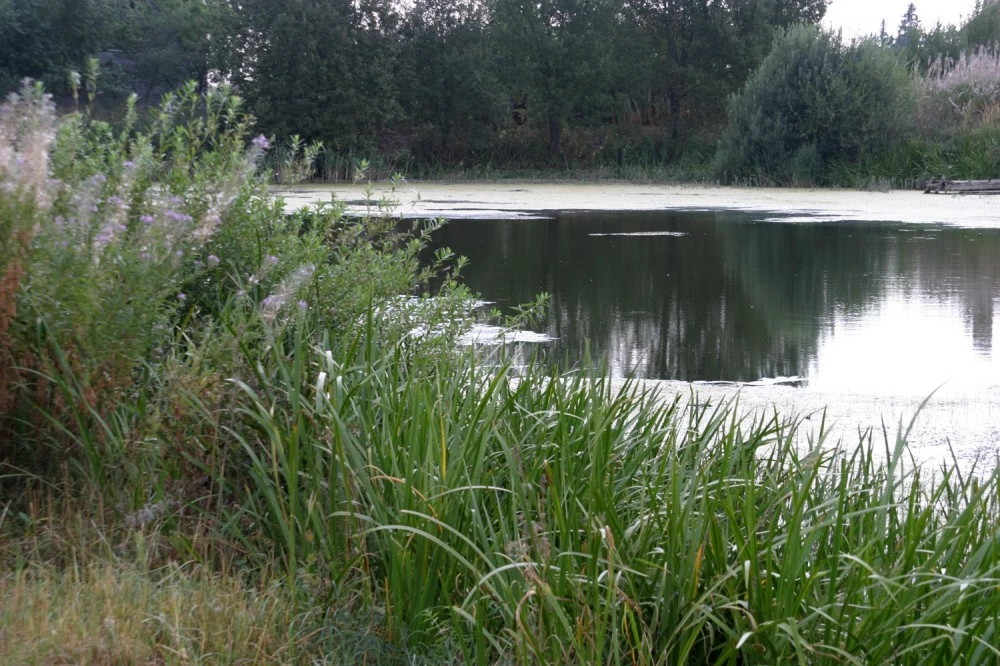 Коттеджный поселок Никитские Озера_6