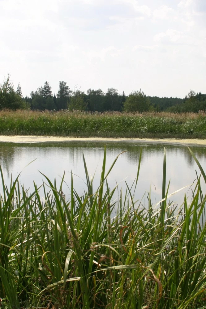 Коттеджный поселок Никитские Озера_5