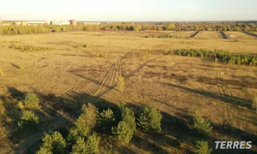 Рождественский