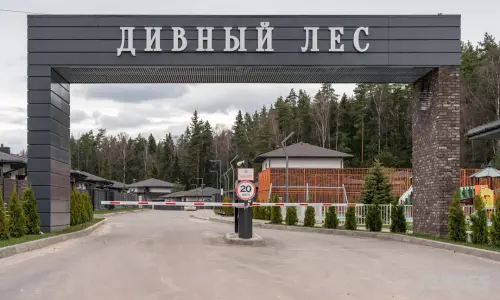 Дивный лес