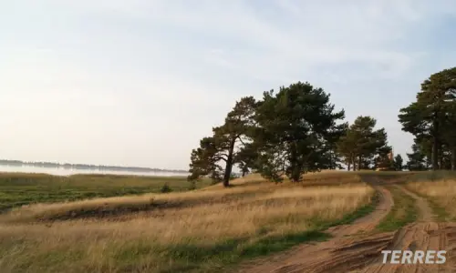 Чудской Брег
