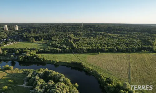 Формула