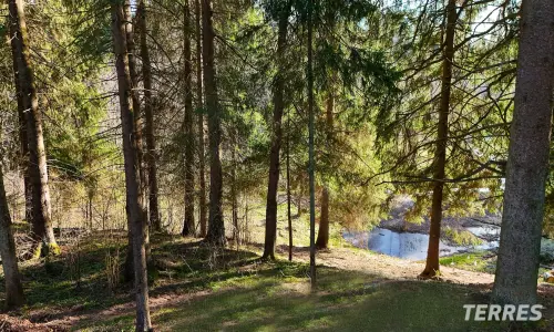 РигаЛес