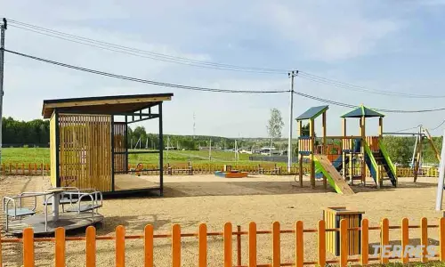 Медведки