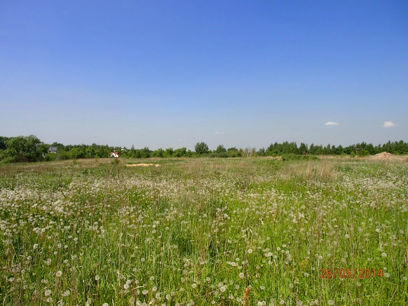 Коттеджный поселок Лэйк Сайд (Lake Side)_2