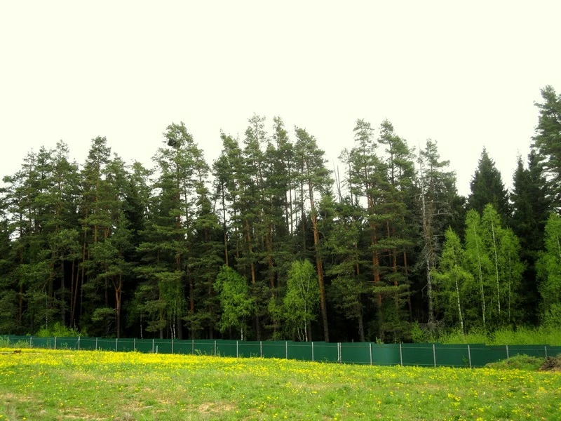 Коттеджный поселок Завидово_2