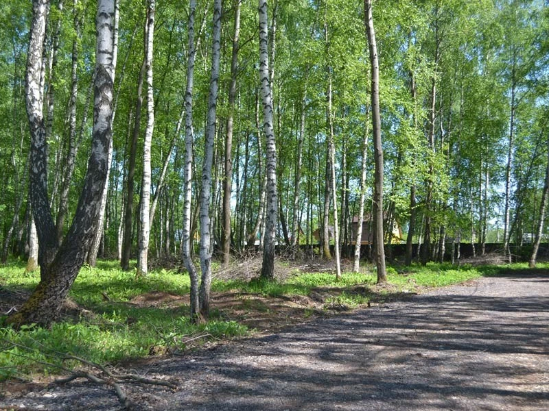 Для многих владельцев дач земельные налоги стали чрезмерными