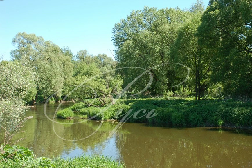 Коттеджный поселок Рассказовка_2