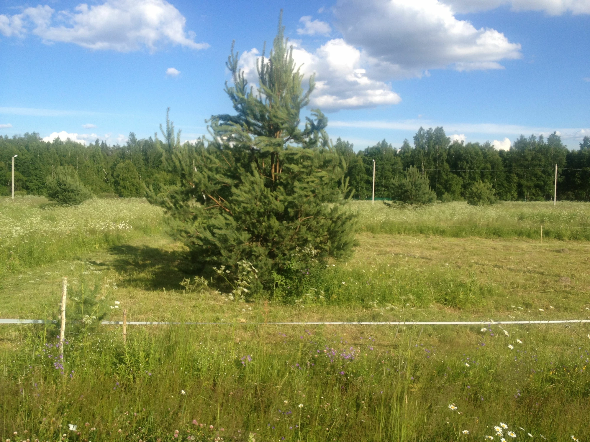 Постоянное бессрочное пользование земельным участком