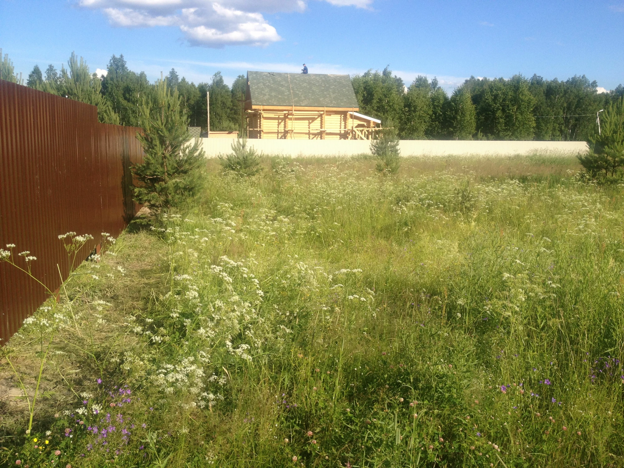 Кадастровая и рыночная стоимость земельного участка