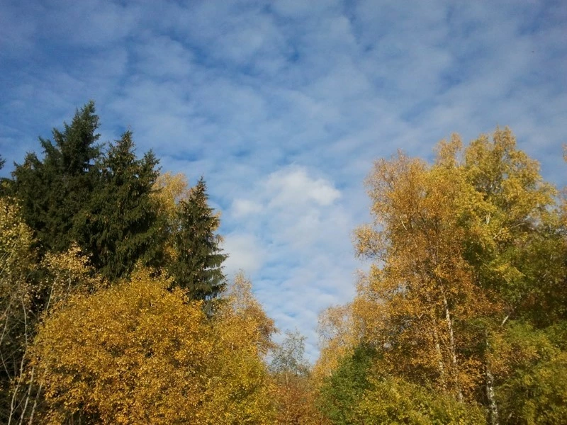 ФСК «Лидер»