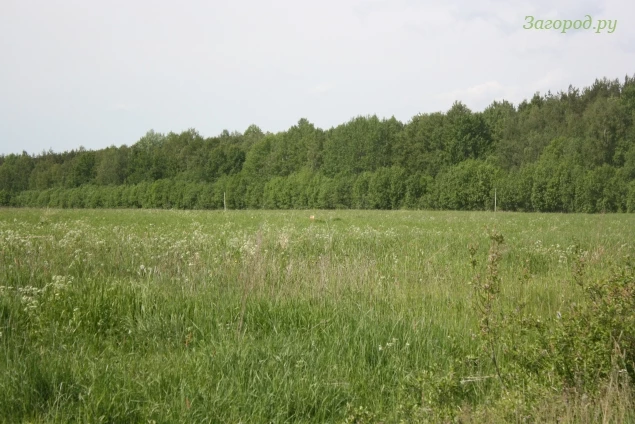 Коттеджный поселок Лесной пейзаж 2_1