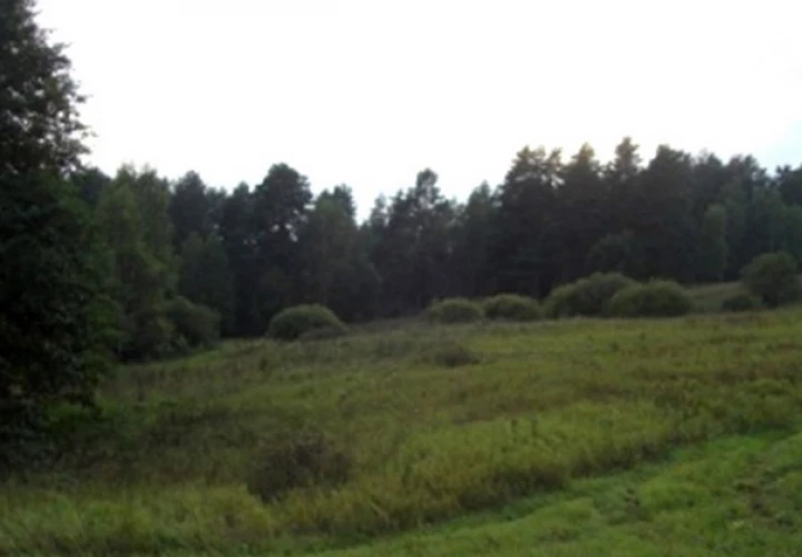 Коттеджный поселок Романтика_5