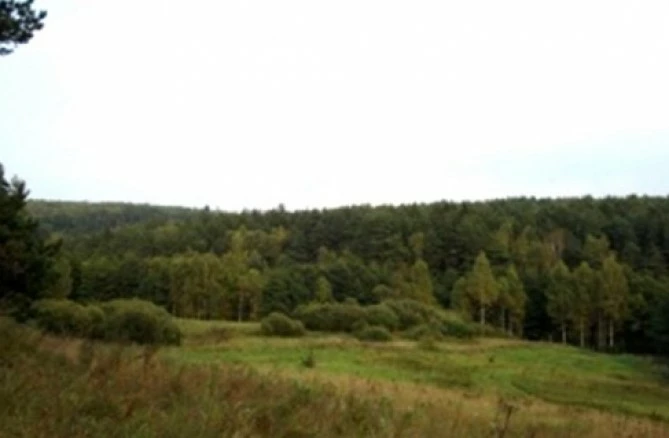 Коттеджный поселок Романтика_4