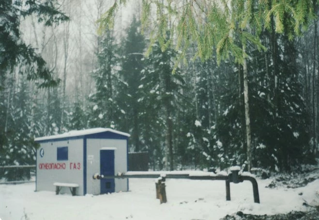 Коттеджный поселок Петровские Аллеи_1