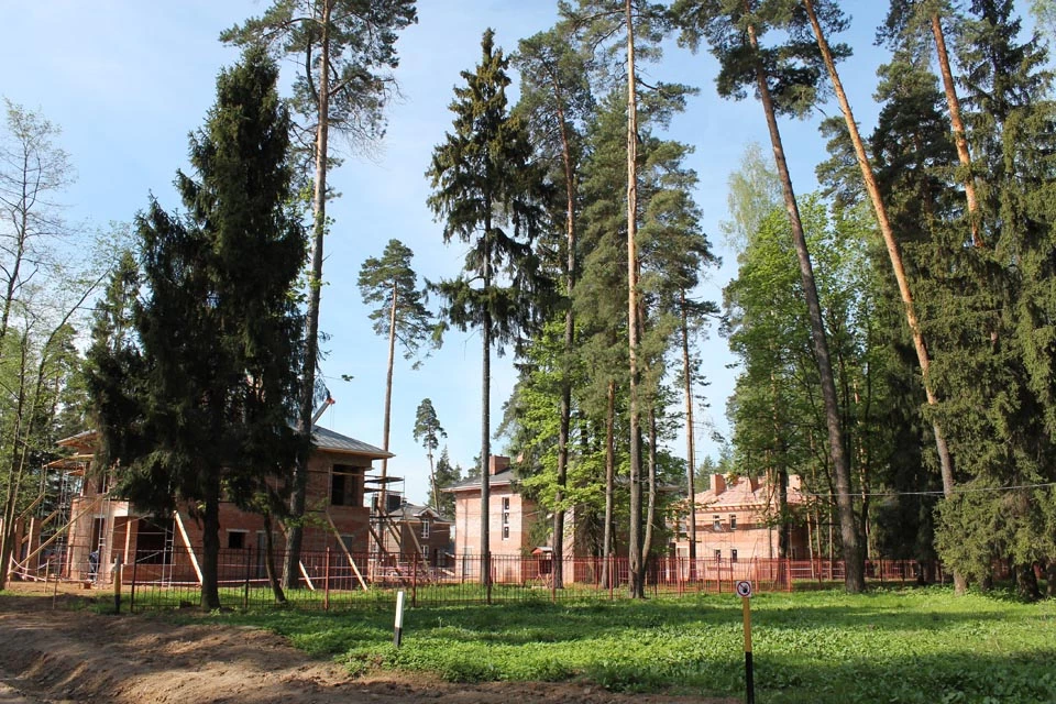 Коттеджный поселок Купавна Life_2