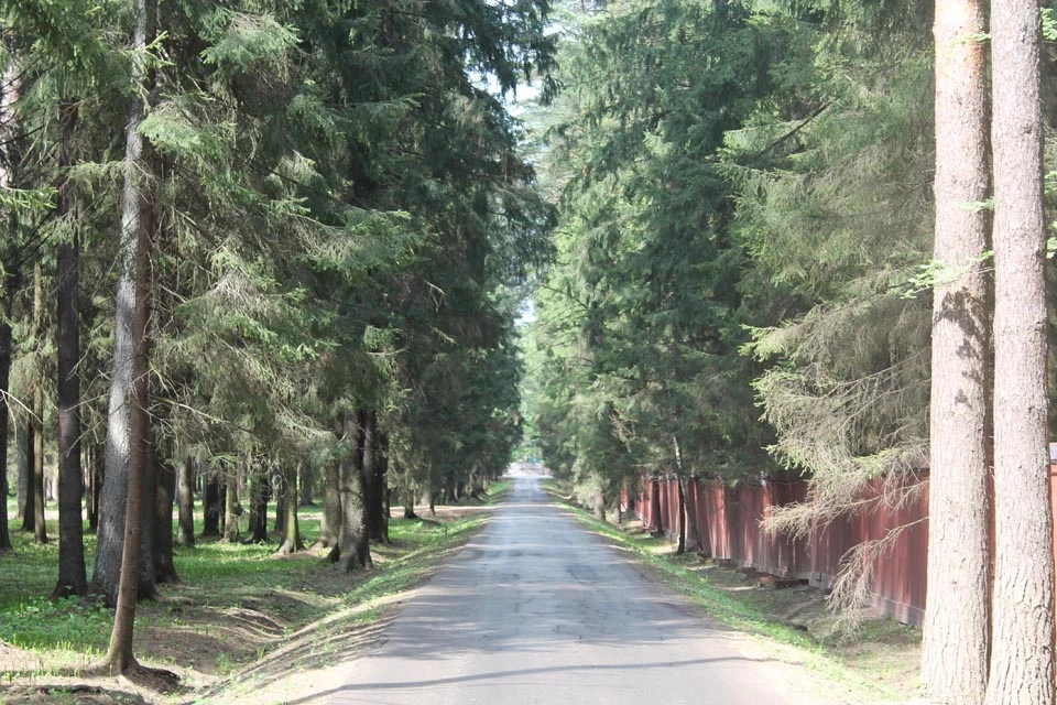 Коттеджный поселок Западная долина_2