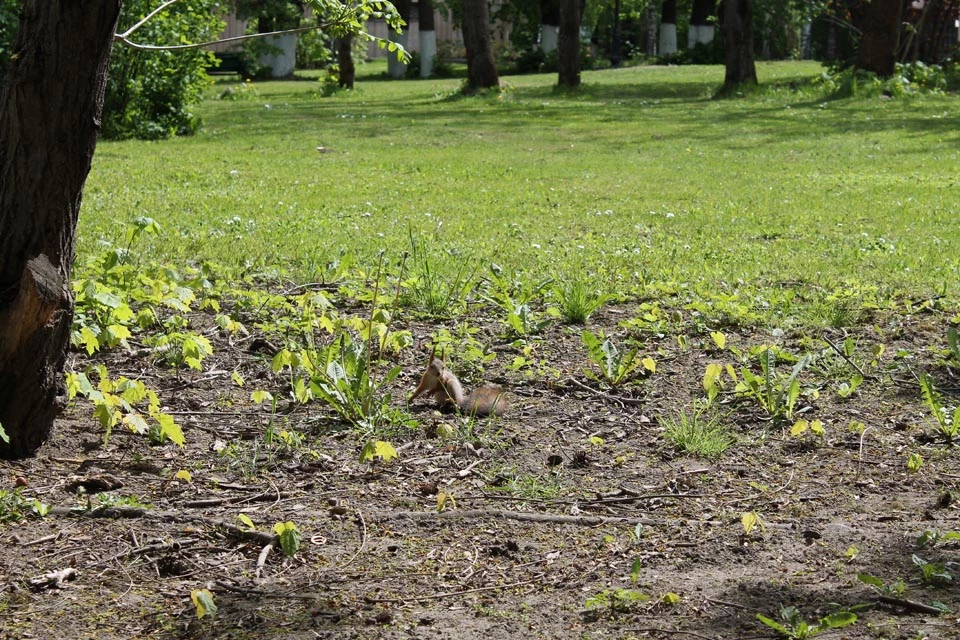 Коттеджный поселок Купавна Life_3