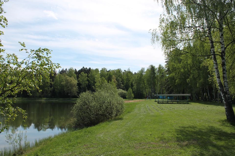 Коттеджный поселок Купавна Life_1