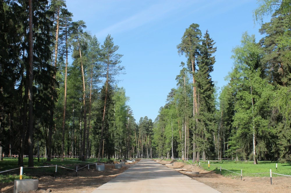 Коттеджный поселок Купавна Life_7