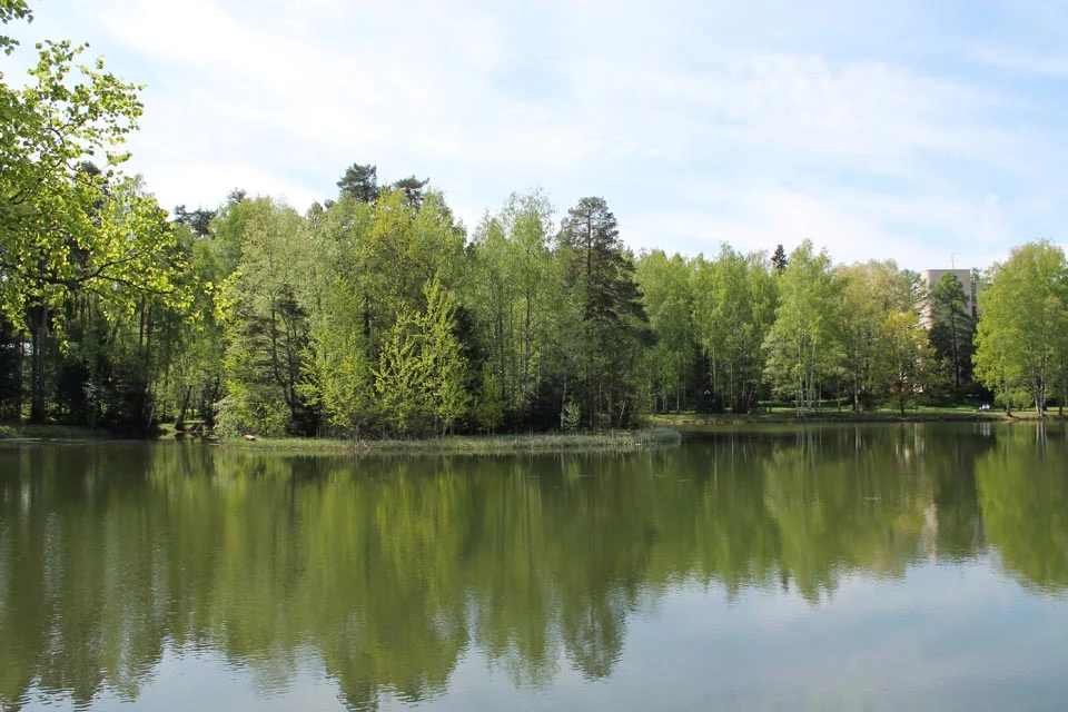 Коттеджный поселок Западная долина_5