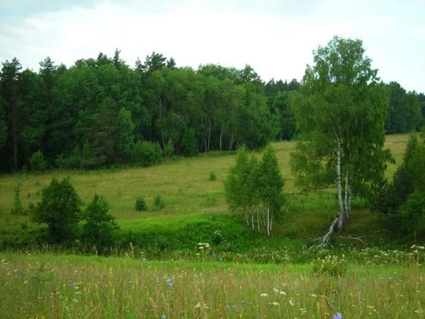 Коттеджный поселок Юсупово Life park_5