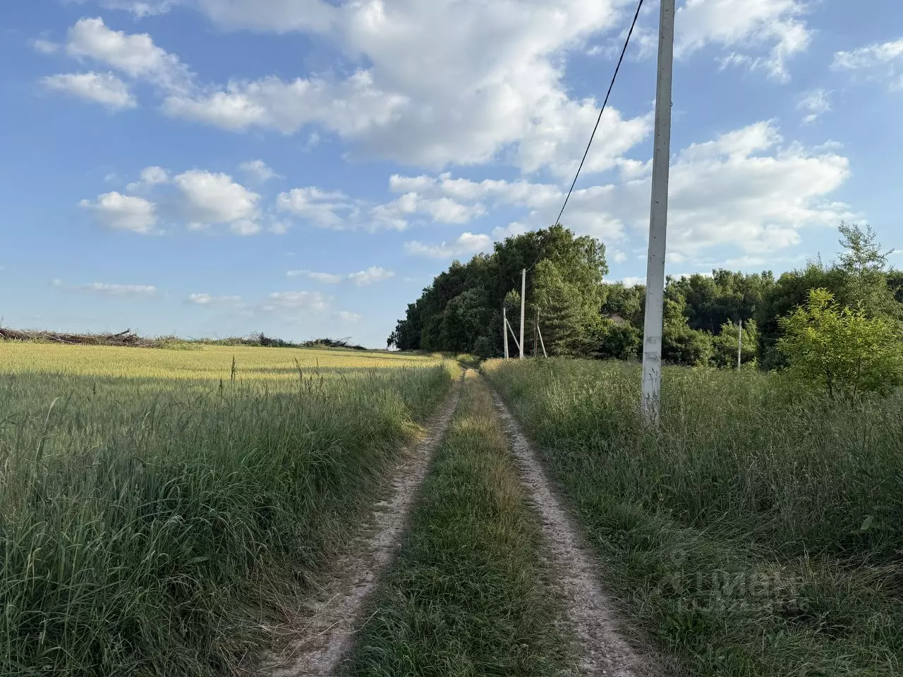 Раздел земельного участка